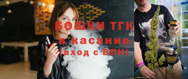 сатива Аркадак
