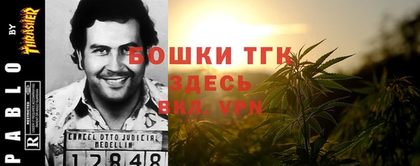 сатива Аркадак