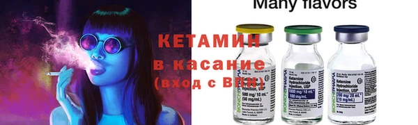 сатива Аркадак