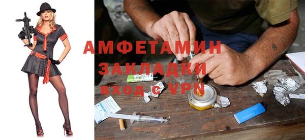 шишки Белоозёрский