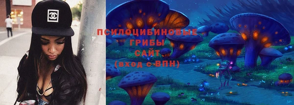 spice Арсеньев