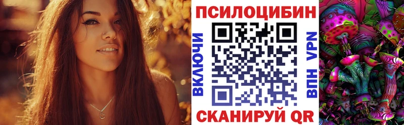 kraken рабочий сайт  Белокуриха  Галлюциногенные грибы мицелий  хочу наркоту 